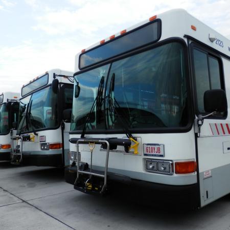 Bus